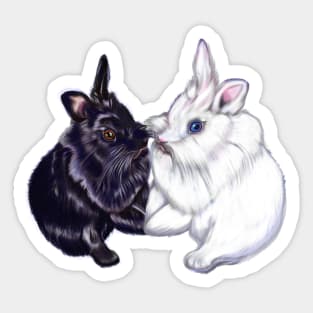 of bunny rabbits pair of cute furry ebony and snow colored coloured lionhead bunny rabbit Sticker